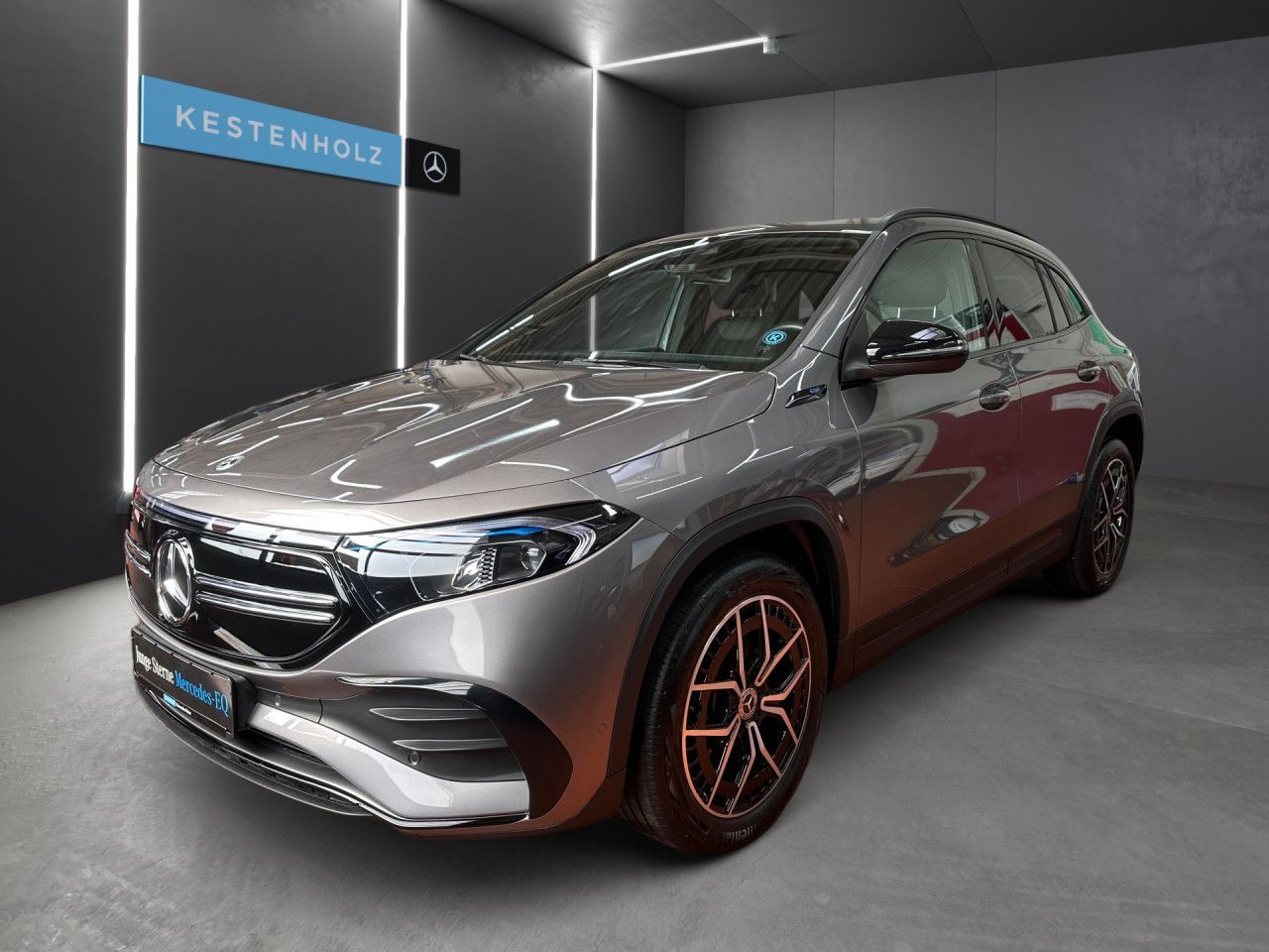 Mercedes-Benz EQA 300 4Matic AMG LED AHK Night Kamera PTS Temp imagem 2