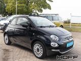 Fiat 500 Cabrio 1.2 Lounge Connect+Komfort-Paket - Fiat in Bonn