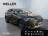 Lexus NX 450h+ E-FOUR Executive Line *Bi-LED*360°*HiFi - Lexus: Nx