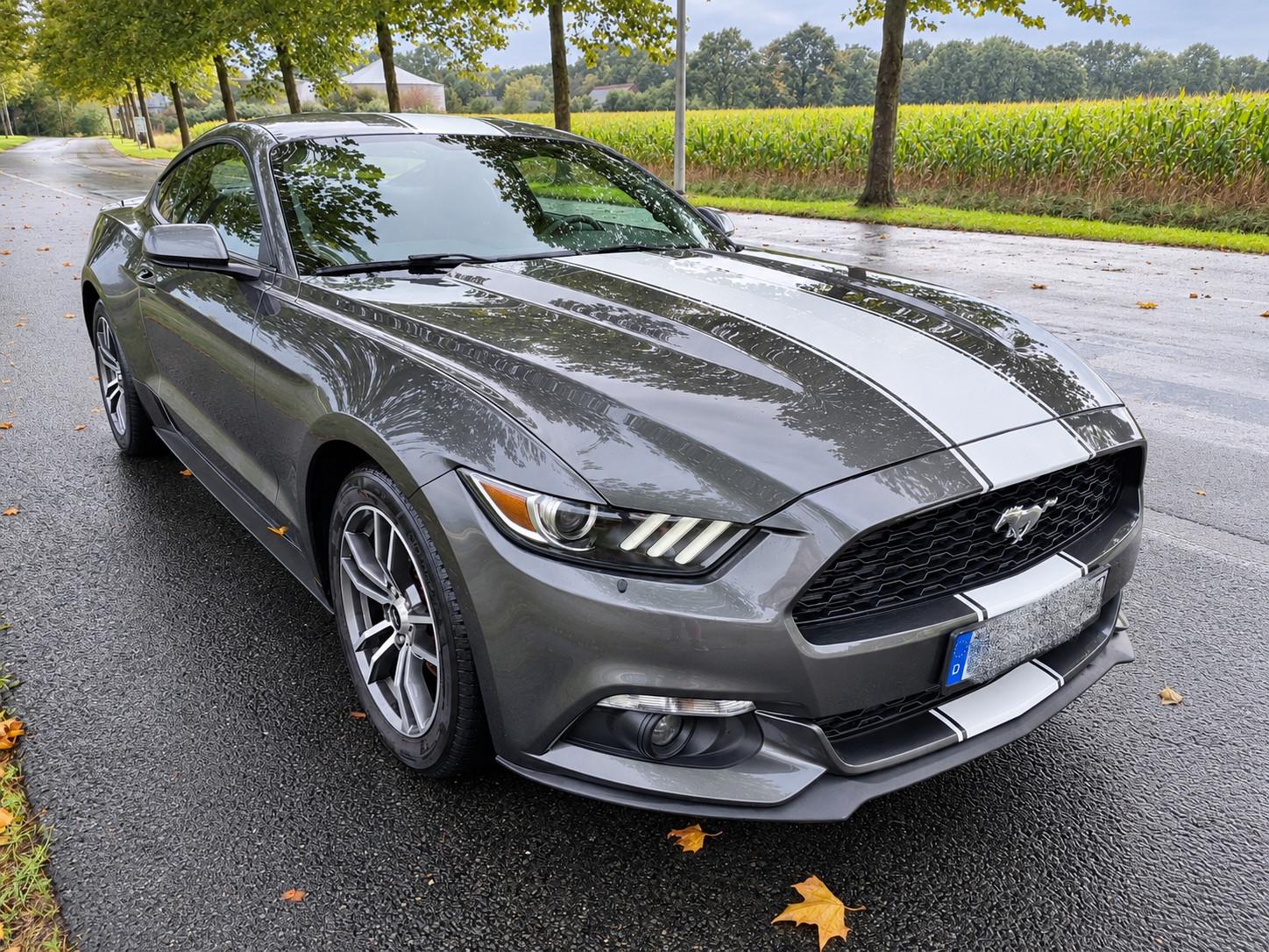 Ford Mustang 2.3 Coupe Aut-+Keyless+Kamera+Bi-Xenon+