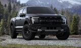 Ford F150 Raptor,MY25, AHK,HeadUp,VORLAUF 3,5 V6 - Ford: 15 M