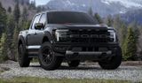 Ford F150 Raptor,MY25, AHK,HeadUp,VORLAUF 3,5 V6 - Ford F 150: Geländewagen