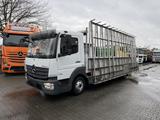 Mercedes-Benz Atego 818 Hegla Glasreff - Angebote