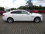 Jaguar XF 2.0d Pure Autom+Navi+Standhzg+Cam+PDC+1.Hand - Jaguar XF: Pure