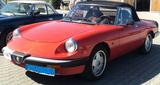 Alfa Romeo Spider -Oldtimer-  - Alfa Romeo Spider aus 1984