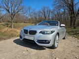 BMW 230i Steptronic Cabrio Luxury Line Luxury Line - BMW 230 von privat