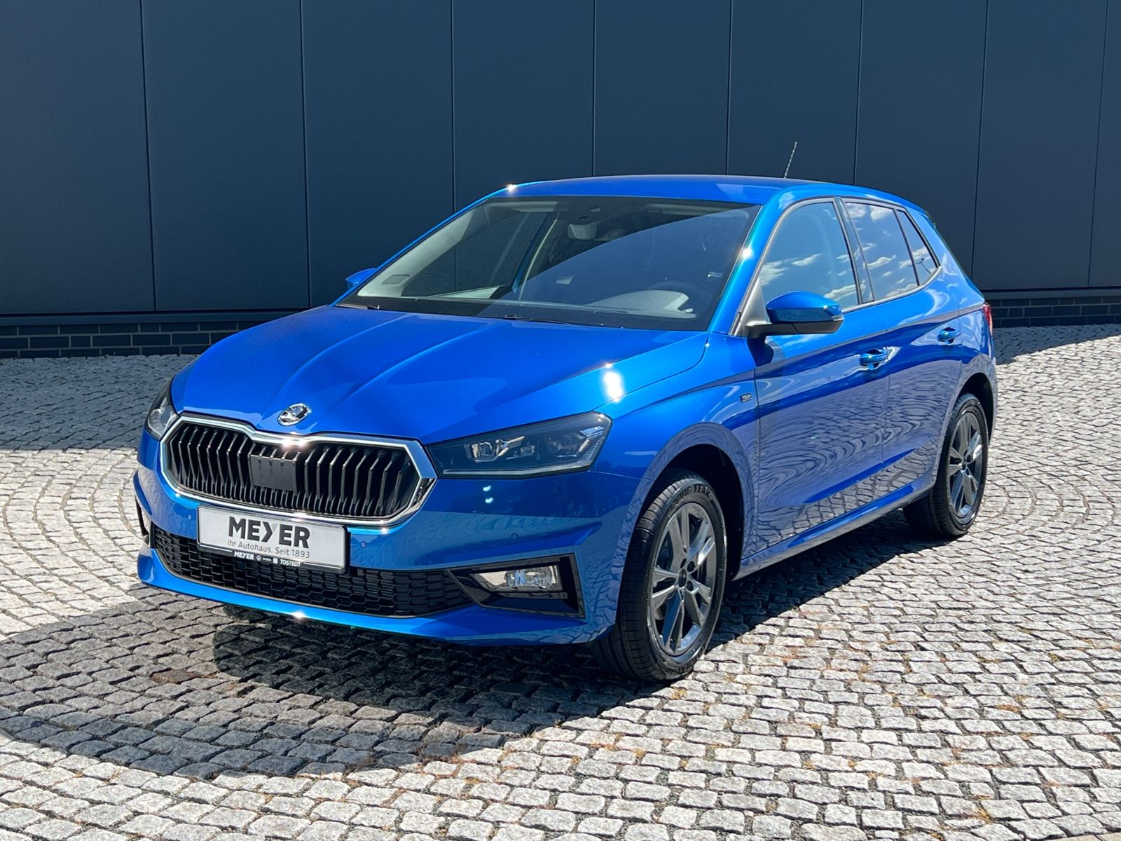 Fahrzeugabbildung SKODA Fabia Tour 1.0 TSI *Winter-Paket,KESSY,Einparkhi
