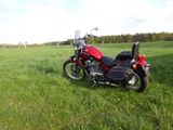 Suzuki 800 Intruder - Angebote entsprechen deinen Suchkriterien
