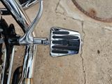 Harley-Davidson Sportster xl 1200 Custom - Offers matching your search criteria