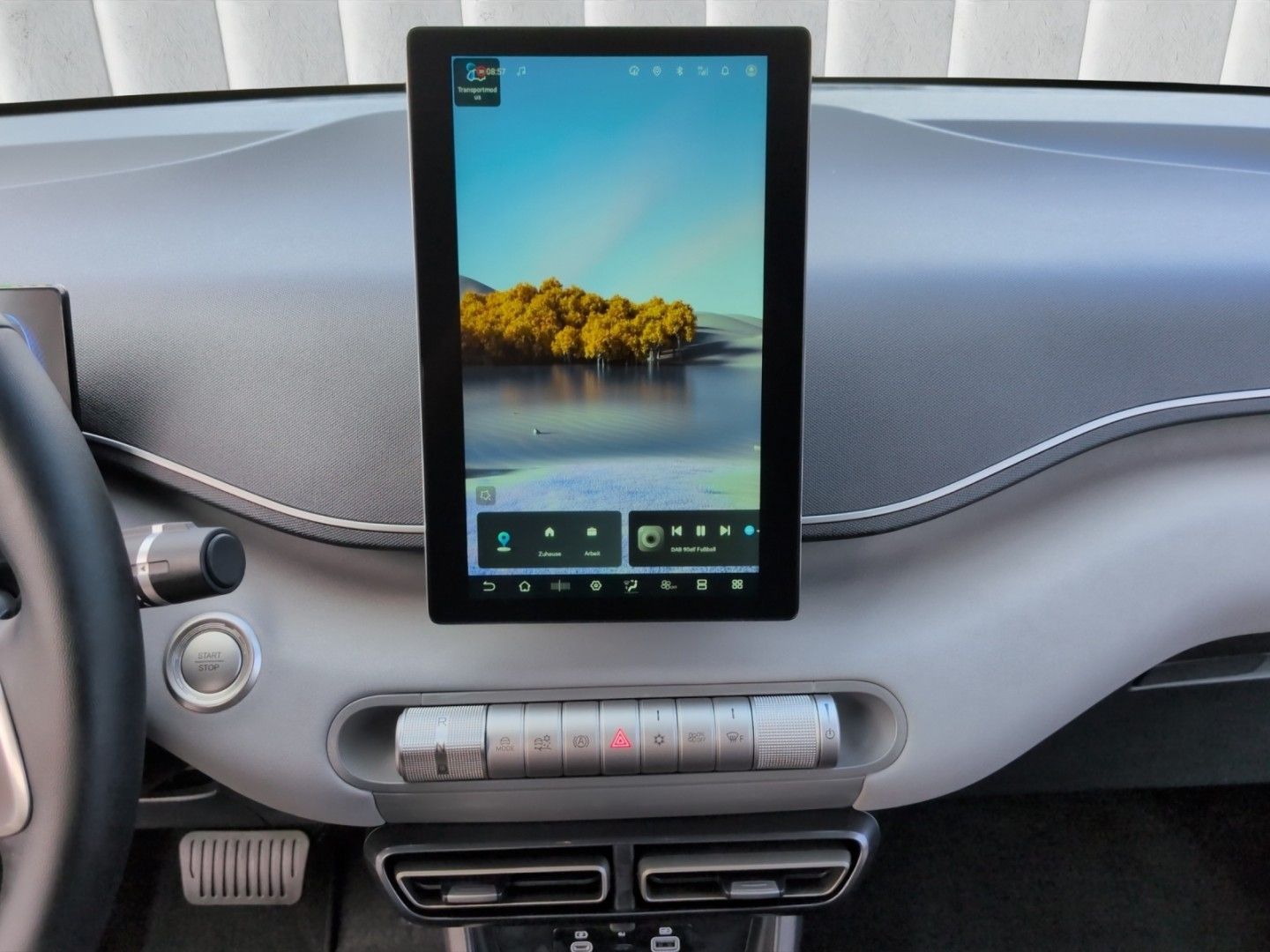 BYD DOLPHIN SURF