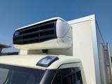 Iveco Daily mit Kühlkoffer - Iveco aus 2021