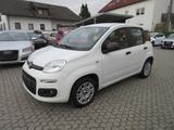 Fiat Panda 1.2 Easy *Sehr gepflegt* - Fiat Panda: 1.1