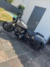 Indian Chief Dark Horse