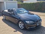BMW 325d Cabrio - Automatik - scheckheftgepflegt - BMW 325: 325d