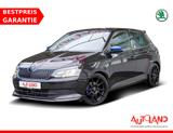Skoda Fabia 1.2 Navi Tempomat Sitzheizung DAB PDC AUX - Skoda Fabia: 1.2