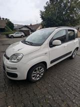 Fiat Panda 0.9 8V TwinAir - Fiat Panda Gebrauchtwagen in Stuttgart