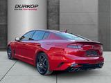 Kia Stinger GT Allrad 3.3 V6 AT8 Navi Leder Brembo H - Kia Stinger: Coupe