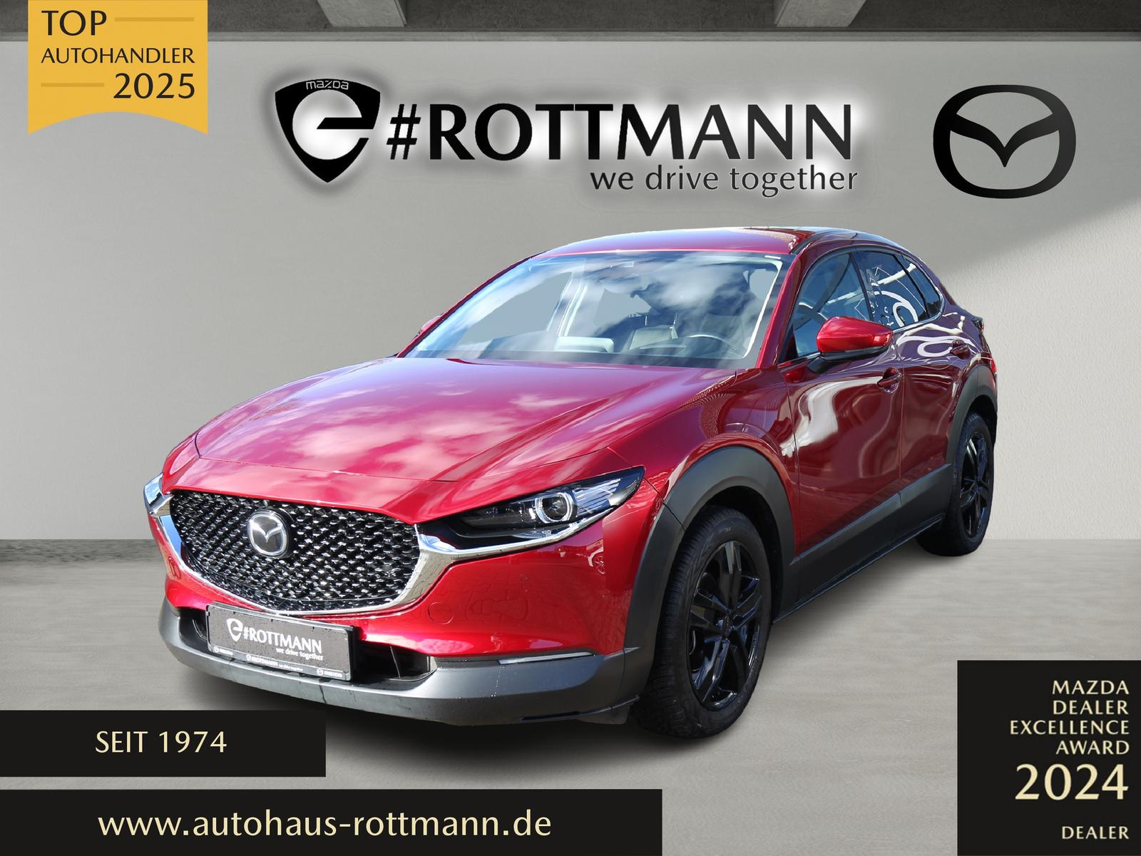 Mazda CX-30 2.0 Selection DESIGN-P PREMIUM-P 360°K WR