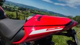 Ducati Monster SP | Reifen / Insp. neu, 1.Hd, Zubehör  - DUCATI MONSTER SP
