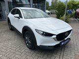 Mazda CX-30 2.0 M Hybrid 6GS AL-SELECTION ACT-P - Mazda: Cx6