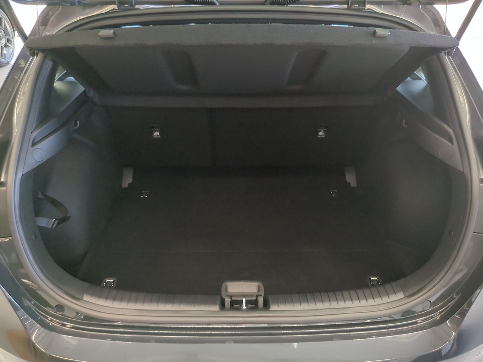 Fahrzeugabbildung Kia CEED_5 1.0T 48V DCT 100 NIGHTLINE STD