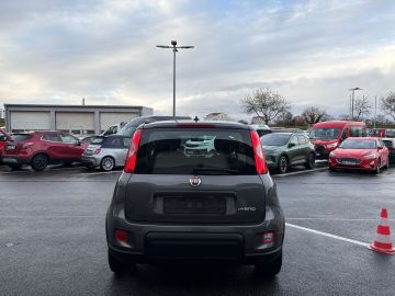 Bild 4 Fiat Panda City Life 1.0 Mild Hybrid DAB Berganfahras