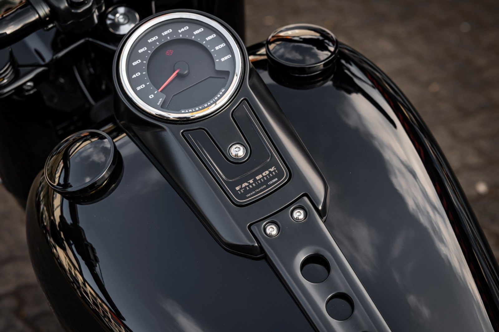 Fahrzeugabbildung Harley-Davidson Softail Fat Boy 30th Anniversary -Jekill & Hyde-