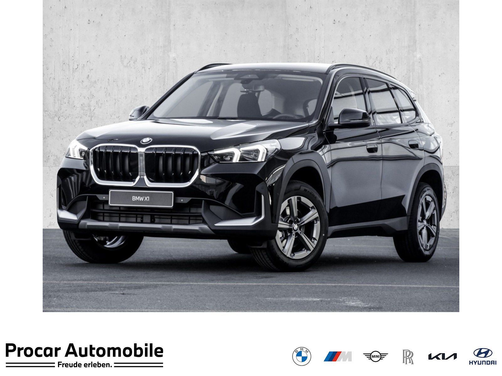 BMW X1 sDrive18i AHK Kamera Navi Lenkradheizung DA u