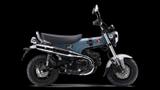 Honda DAX 125 GRAU+ SCHWARZ AM LAGER TAGESZULASSUNG - NEU MOFA