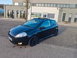 Fiat Punto 1.9 Multijet 8V Sport Sport - Fiat Punto mit Panoramadach