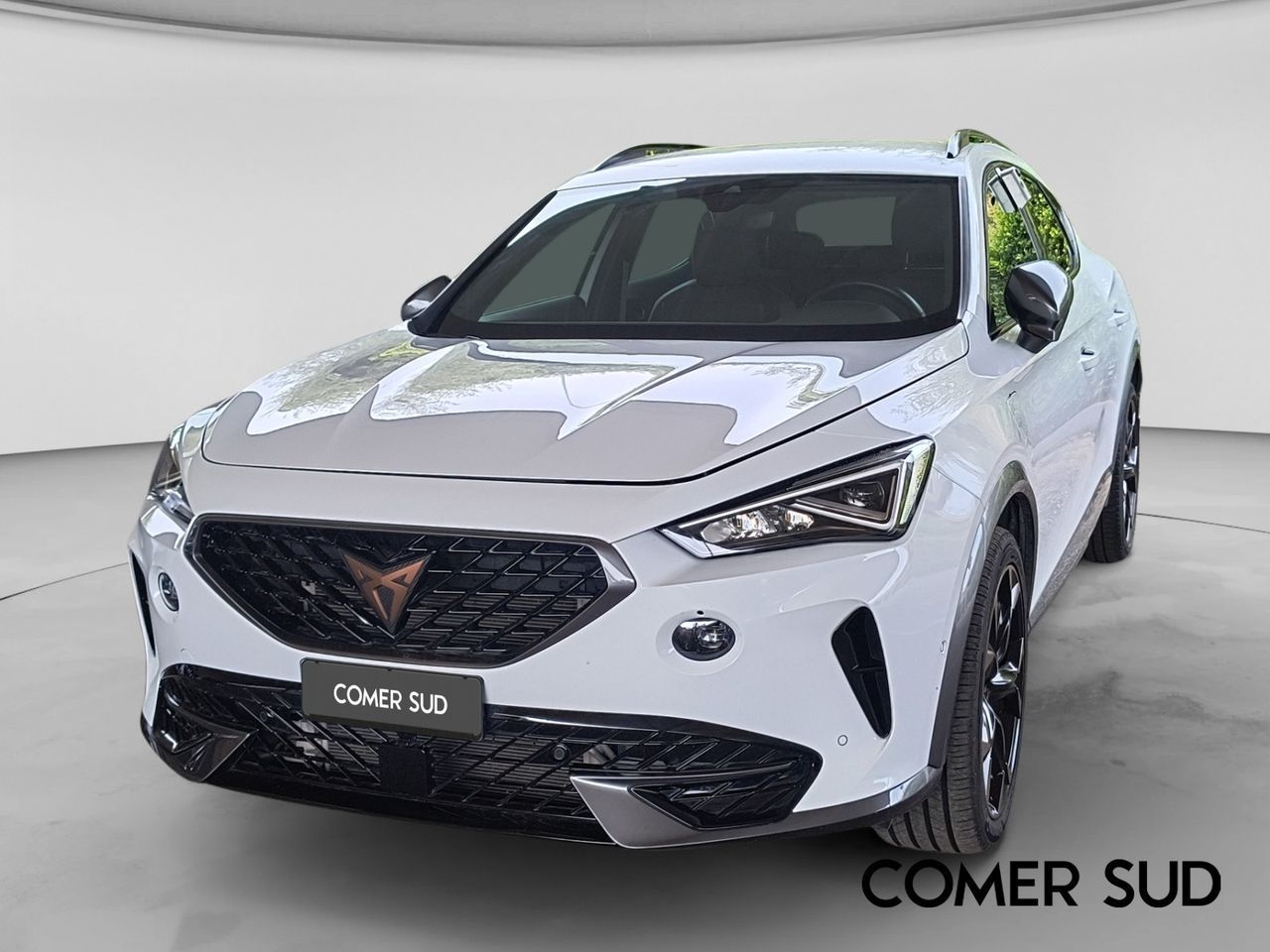 Cupra CUPRA Formentor 2020 - Formentor 1.4 e-hybrid 20