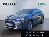 Lexus UX 250h Style Edition *Bi-LED*ACC*CAM*SHZ*CarPla