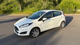Ford Fiesta 1.0 Ecoobost Sitz- & Frontscheibenheizung - Ford Fiesta: Kombi