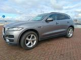Jaguar F-Pace 20 D.E Performance, Prestige AHK, 19 Zoll - gebrauchte Jaguar F-Pace aus dem Jahr 2019