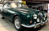 Jaguar 240 MKII / 1968 cm/LHD/Leder - Jaguar: Mk1