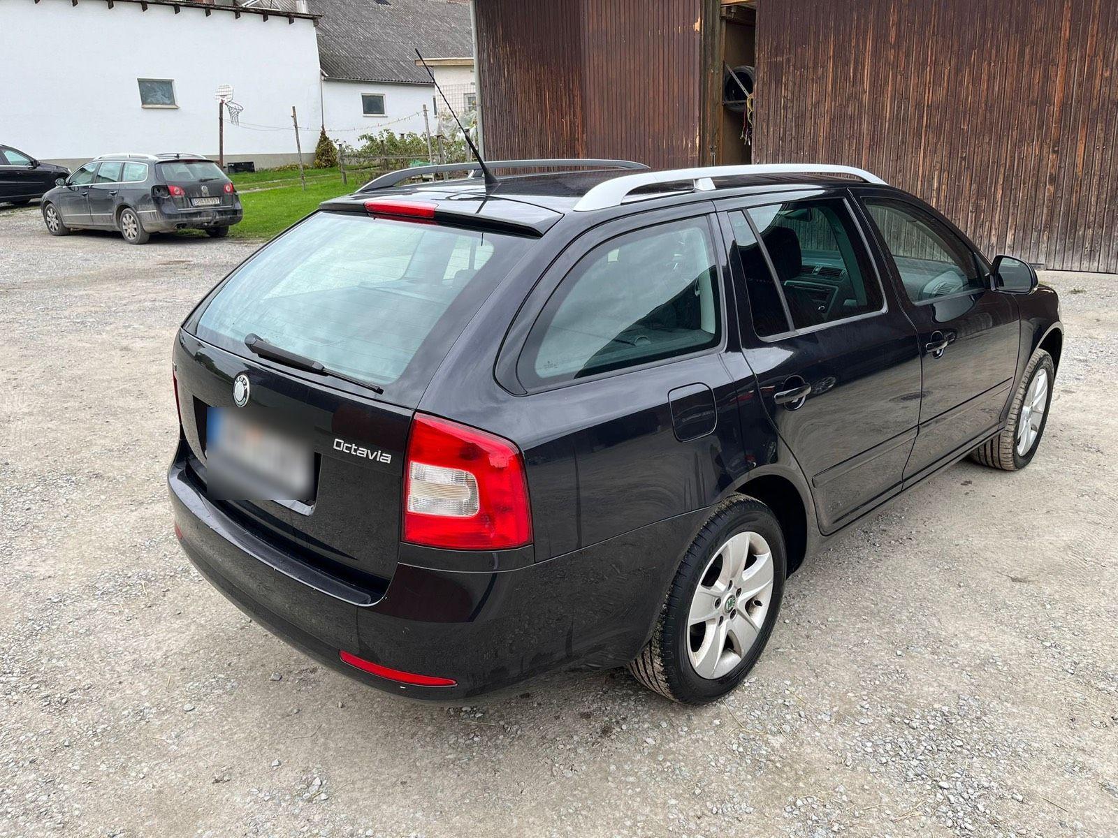 Skoda Octavia 2009 — rear view