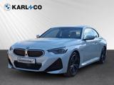 BMW 218 i Coupe M-Sport adapt. LED Komfotzugang - BMW: Coupe, Alarmanlage