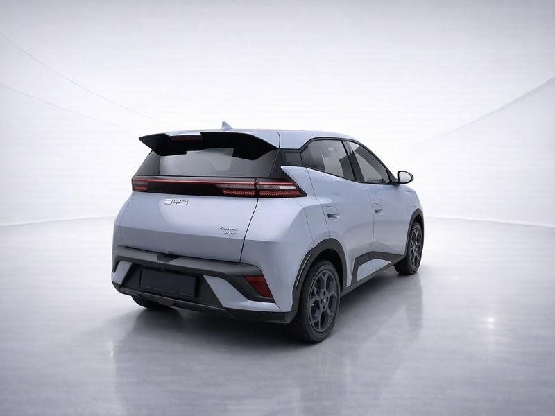 BYD DOLPHIN SURF