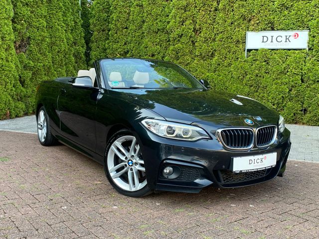 BMW 220 d Cabrio M Sport/M Paket XEN+PROF+LEDER+SHZ+