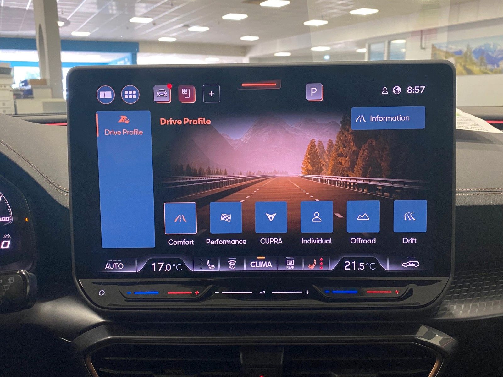 Fahrzeugabbildung CUPRA Formentor 2.0 TSI VZ DSG 4Drive+SCHIEBEDACH+ACC+