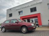 Volkswagen Golf - Volkswagen Golf aus 1993