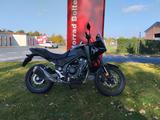 Honda NX500 - HONDA NX