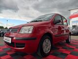 Fiat Panda 1.2 8V Dynamic*Automatik* - Fiat Panda: Dynamic