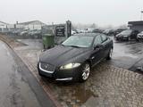 Jaguar XF 3.0 V6 Diesel - Jaguar XF aus 2012