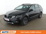 Skoda Octavia 2.0 TDI Scout 4x4 Aut.*NAV*ACC*PDC*SHZ* - Skoda Octavia: 4.4