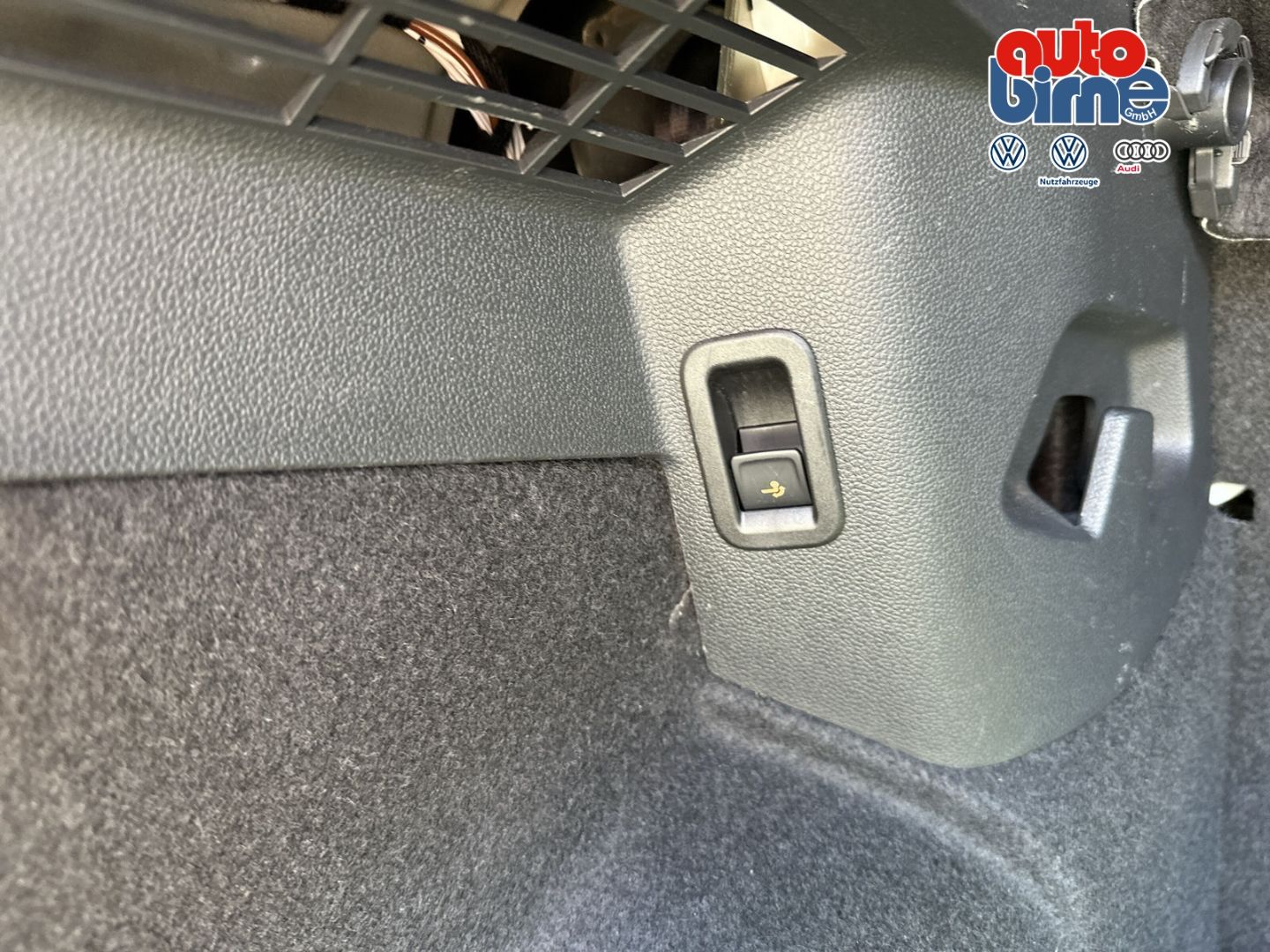 Golf VIII GTE eHybrid HUD StandHZG AHK Panodach