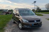 Volkswagen Caddy 1,2TSI 77kW Trendline Camper - Volkswagen Caddy: Camper