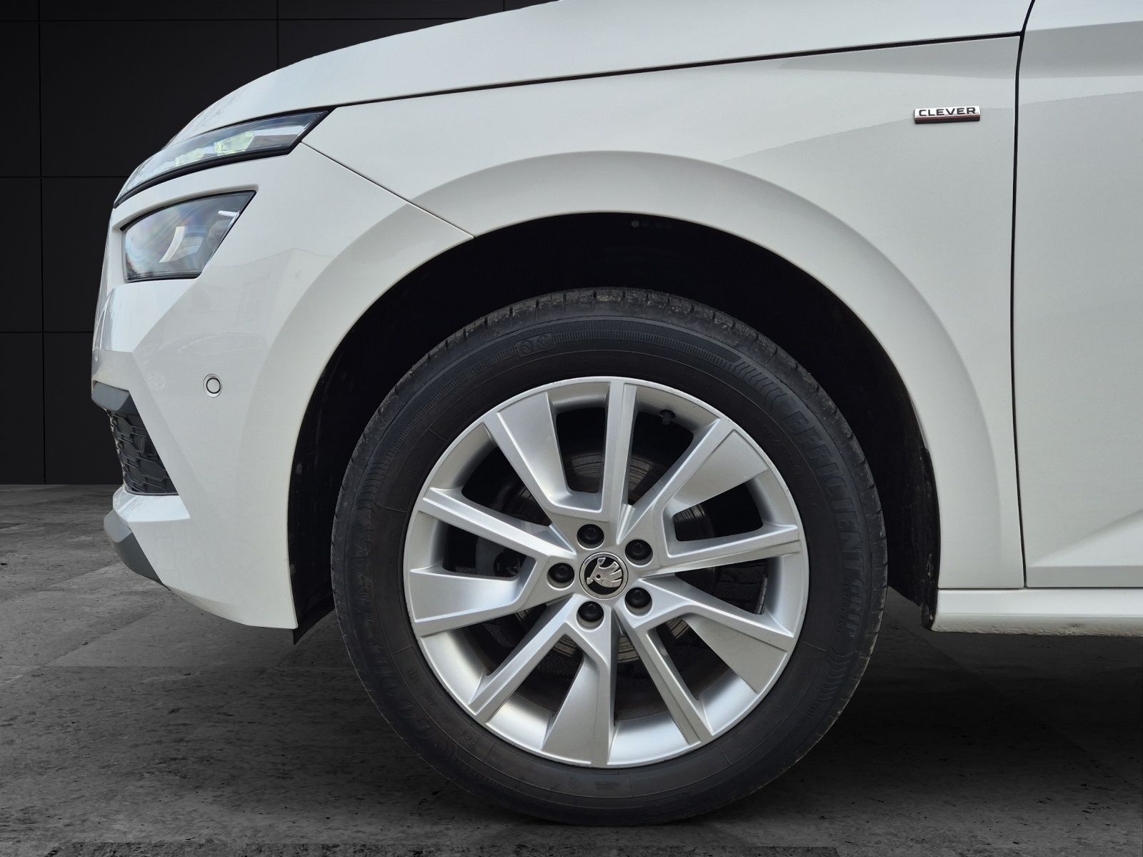 Fahrzeugabbildung SKODA Kamiq TSI Clever DSG LED ACC RFK SH 17"