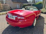 Jaguar XKR 5.0 V8 XKR Cabriolet XKR - Jaguar XKR: Cabrio