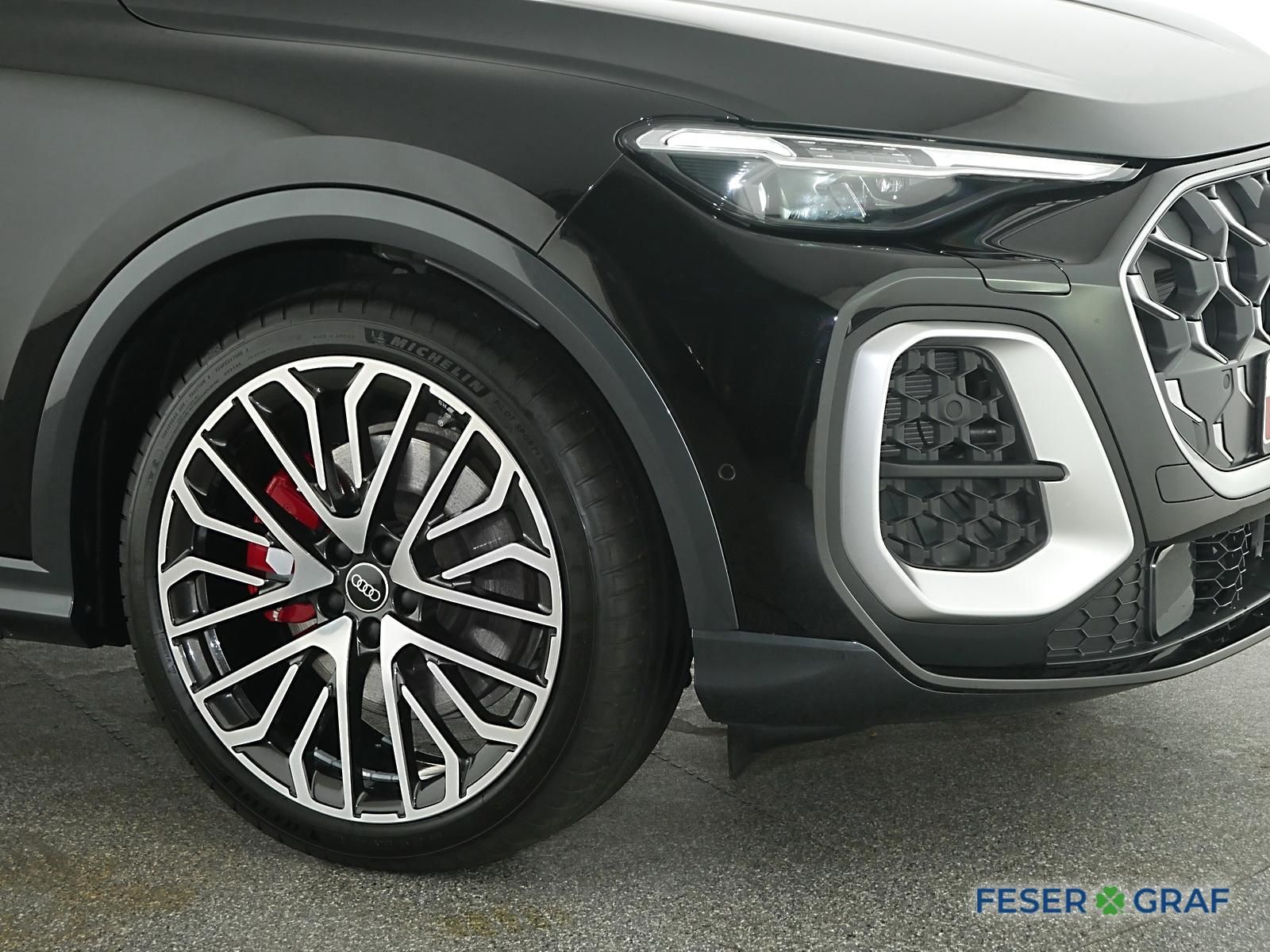 Audi SQ5 - Bild 10